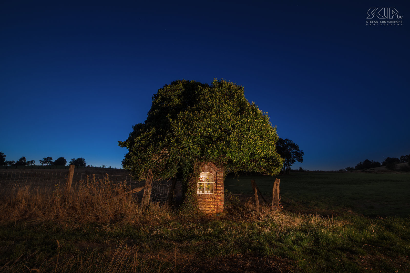 Hageland by night - Prinsenbos kapel in Bekkevoort Het kleine Prinsenbos kapelletje onder een boom op de grens van Diest en Bekkevoort. Stefan Cruysberghs